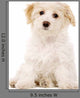 Puppy Sat White Wall Decal