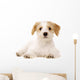Puppy Laid Isolated on a White Background Wall Decal