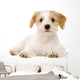 Puppy Laid Isolated on a White Background Wall Decal