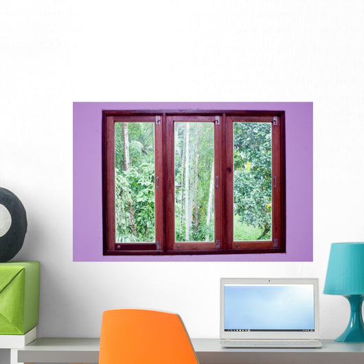 Window