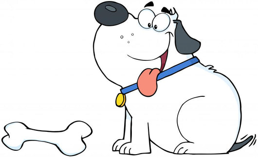 Happy White Fat Dog