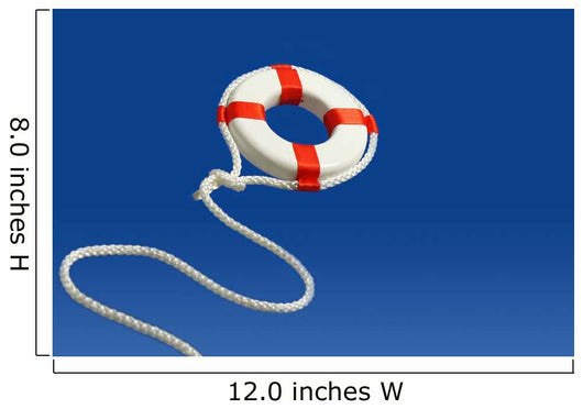 Flying Life Preserver for Help Wall Mural