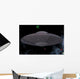 Unidentified Flying Object from Outerspace with Background Wall Mural