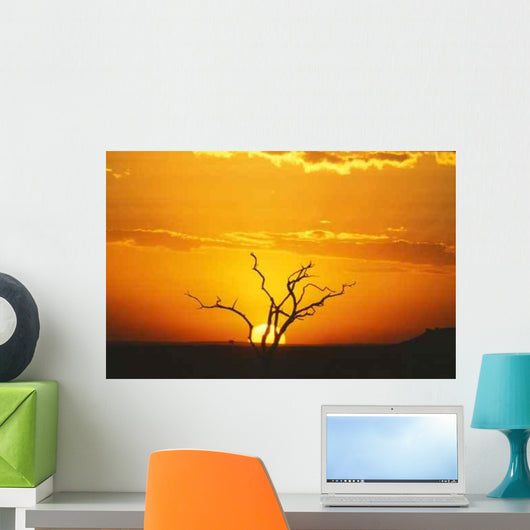 African Sunset Wall Decal
