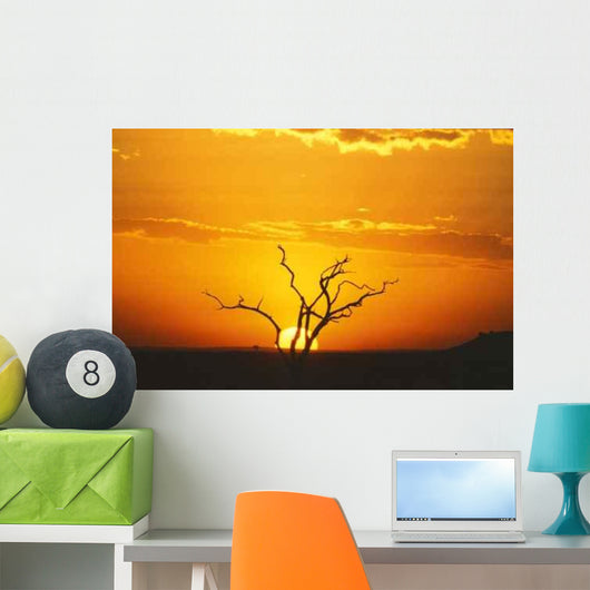 African Sunset Wall Decal