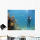 Coral Reef Wall Decal