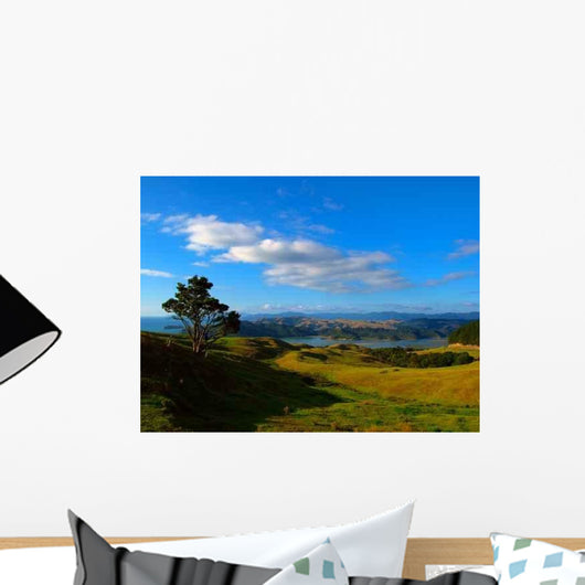 Coromandel H Gel Wall Decal