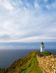 Leuchtturm Neuseeland Wall Decal