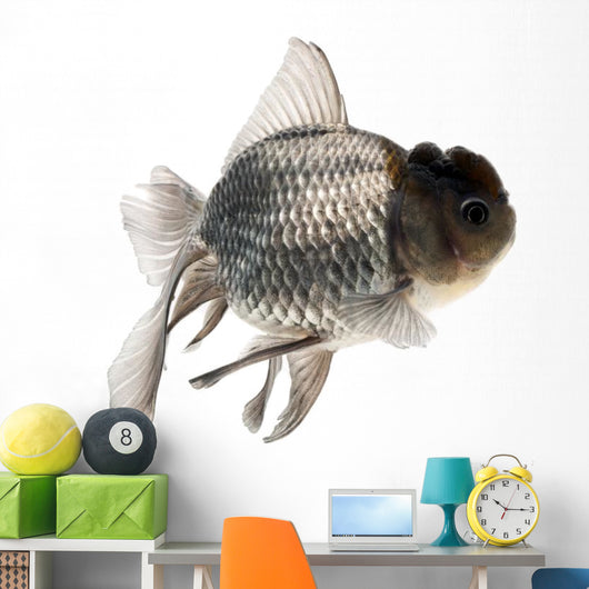Goldfish Wall Mural
