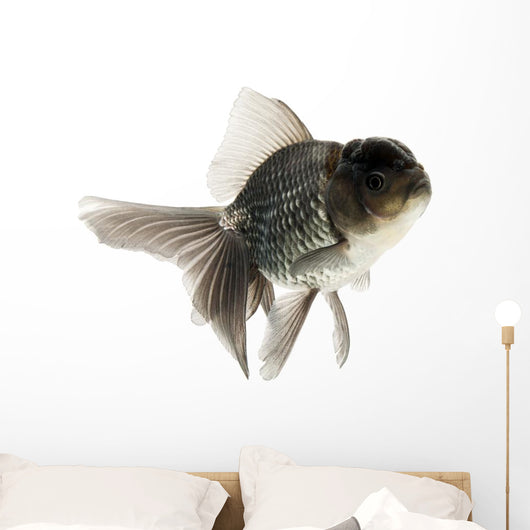 Goldfish Wall Mural