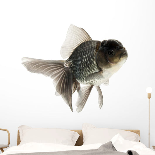 Goldfish Wall Mural