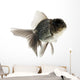 Goldfish Wall Mural