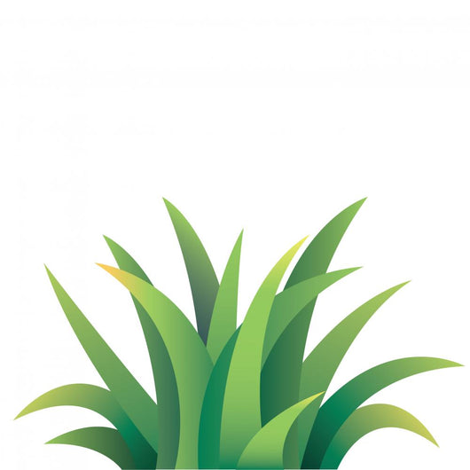 Grass Wall Mural