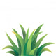 Grass Wall Mural