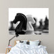 black and white knights Wall Mural