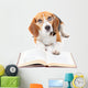 Dog Reading Book Wall Decal