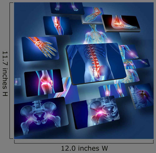 Human Joints Concept