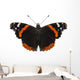 Butterfly species Vanessa atalanta Wall Decal