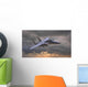 military airplane Wall Mural