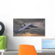 military airplane Wall Mural