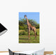 Giraffe Savanna Safari Wall Mural