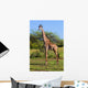 Giraffe Savanna Safari Wall Mural