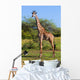 Giraffe Savanna Safari Wall Mural