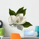Single Magnolia Flower White Wall Decal