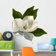 Single Magnolia Flower White Wall Decal