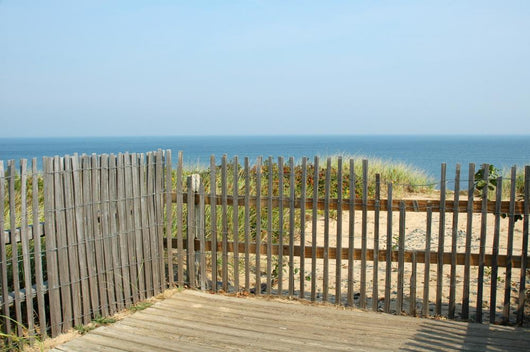 Atlantic Ocean through Fence Wall Mural