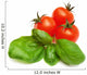 Basil and Cherry-tomatoes Wall Decal