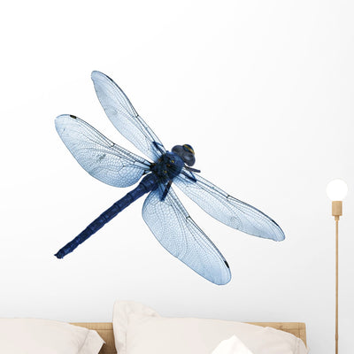 Dragonfly High Quality Wall Decal shown on a wall