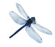 Dragonfly High Quality Wall Decal