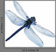 Dragonfly High Quality Wall Decal