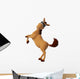 Toon Horse Wall Decal