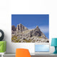 Craggy Mountain Top Wall Decal