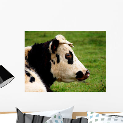 Vache 11 Wall Mural shown on a wall