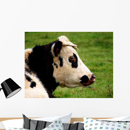 Vache 11 Wall Mural