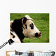 Vache 11 Wall Mural