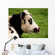 Vache 11 Wall Mural