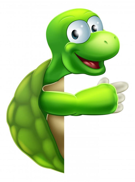 Tortoise or Turtle Pointing Wall Decal