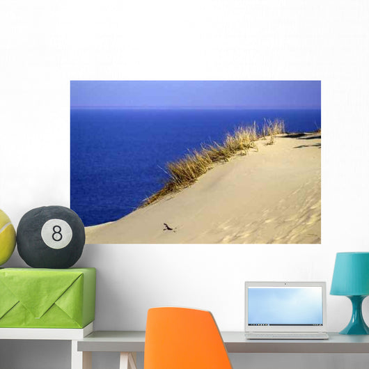 Kurische D Ne 2 Wall Decal