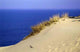Kurische D Ne 2 Wall Decal