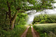 Edge Woods
