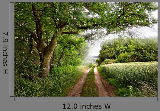 Edge Woods