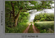 Edge Woods