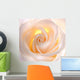 Beautiful Rose Wall Decal
