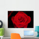 Rose Wall Mural