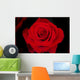 Rose Wall Mural