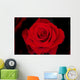 Rose Wall Mural